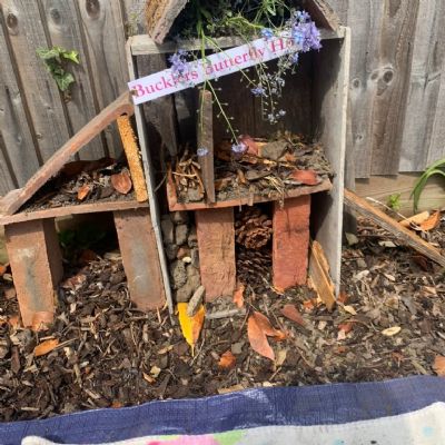 Butterfly hotel by Norah and Maddie